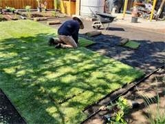 Yard Work/Garden