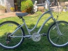 Womens Towne bicycle