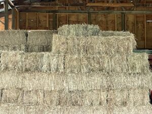 Grass Hay for sale