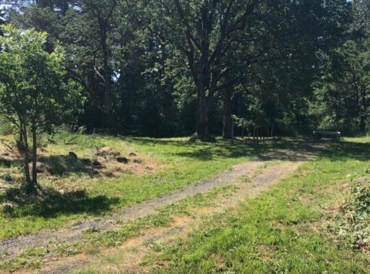 .68 Acre park like setting lot in White Salmon