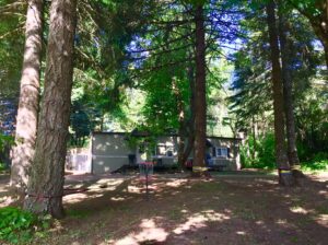 5 AC. Of Wooded Privacy on Burdoin MT/ Snowden