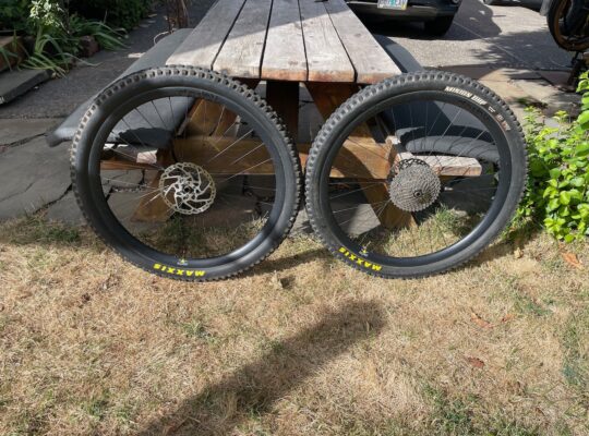 derby 29″ rims, DT swiss hubs, Maxxis tires