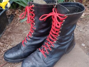 Men’s 10.5/10 horse/riding boots. New laces.