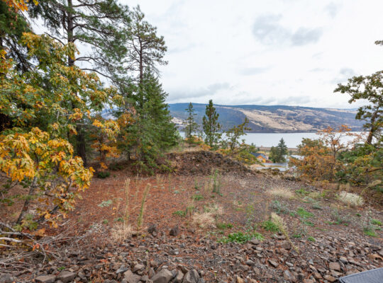 Spectacular Columbia River & Syncline Views