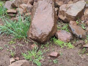 Free rocks for gardening/landscaping