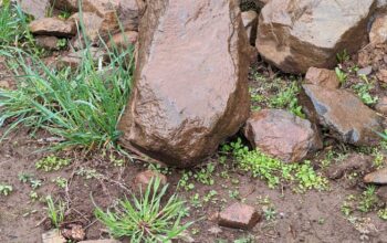 Free rocks for gardening/landscaping