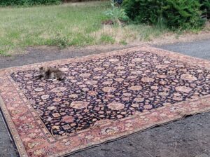 12’x11′ genuine Oriental rug, 100yo Wool, low pile
