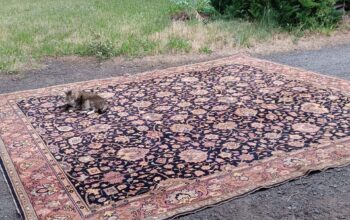 12’x11′ genuine Oriental rug, 100yo Wool, low pile