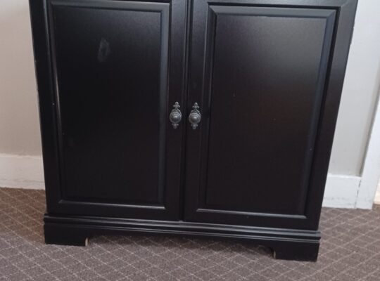 PERFECT medium cabinet 4 aquarium, stereo, TV, etc