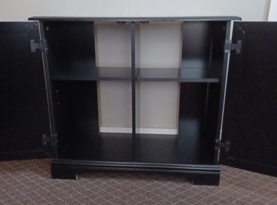 Medium aquarium/stereo/media cabinet. Delivery too