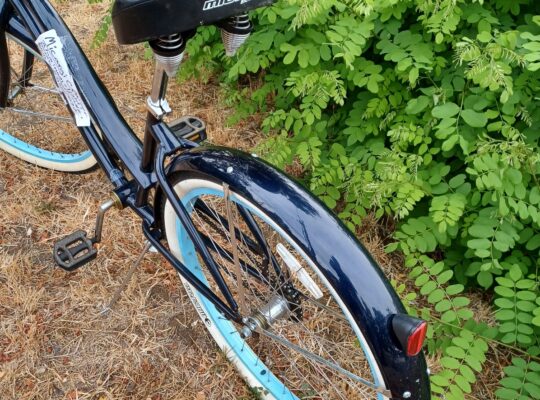 Stolen dark blue Micargi cruiser bike 8/25