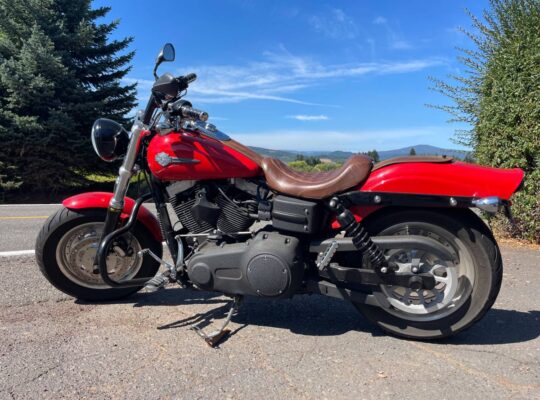 one-of-a-kind 2010 Harley Dyna Fat Bob FXDF