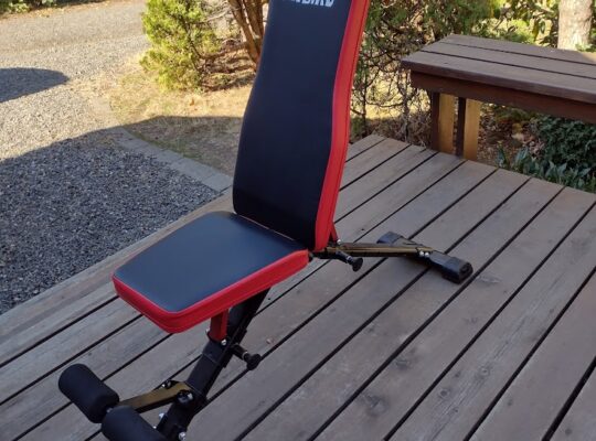 Weight Bench by Flybird –$60