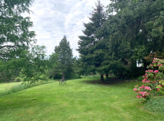 Beautiful 2 Bdr 2 Bath home on 3.5 acres