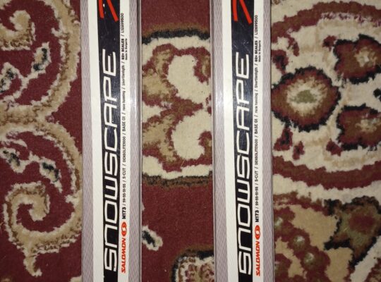 Salomon 173cm cross-country skis & W8.5/M8 boots