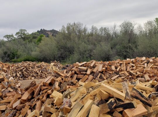 Need Firewood? Record Cold Winter Ahead!