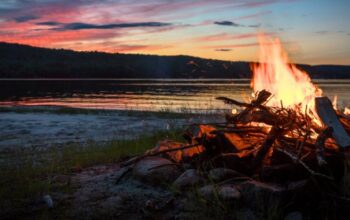 Need Firewood? Record Cold Winter Ahead!