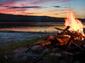 Need Firewood? Record Cold Winter Ahead!