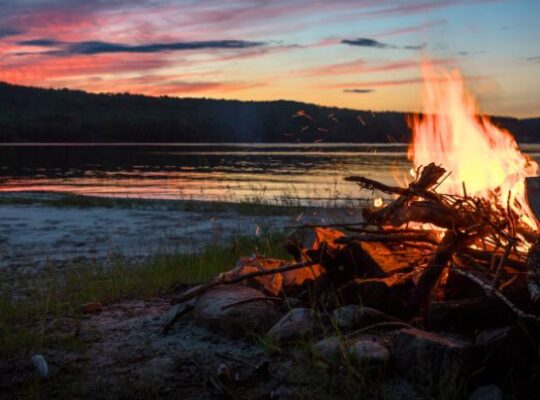 Need Firewood? Record Cold Winter Ahead!