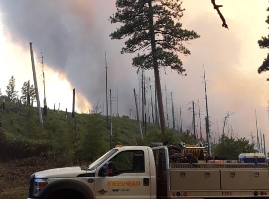 WILDLAND FIREFIGHTER-NO EXPERIENCE REQUIRED