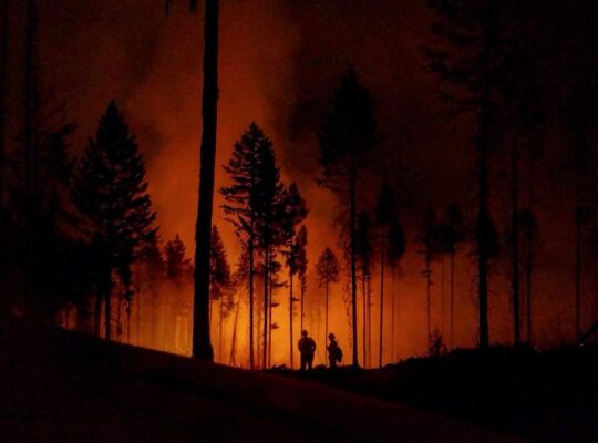 WILDLAND FIREFIGHTER-NO EXPERIENCE REQUIRED