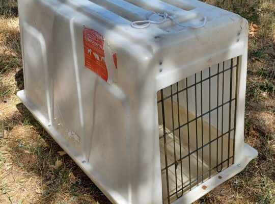 Large dog crate/kennel. 30″. Secure. Good conditio
