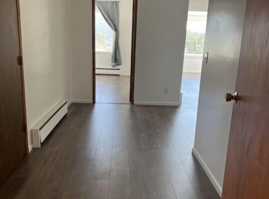 Downtown WS 2bed Apt (RENT)