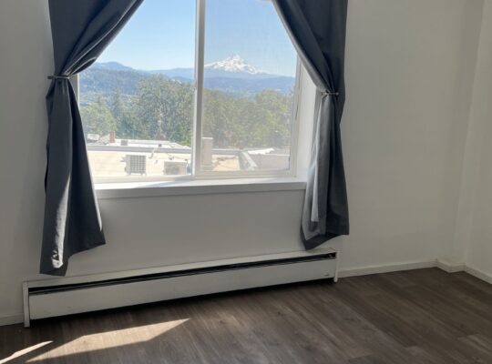 Downtown WS 2bed Apt (RENT)