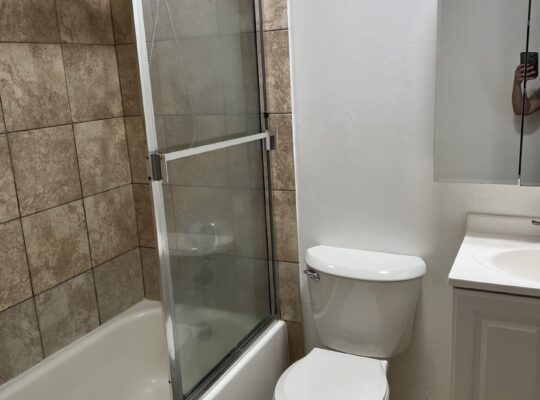 Downtown WS 2bed Apt (RENT)