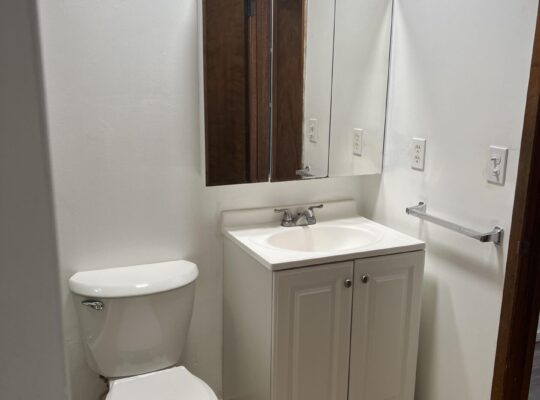 Downtown WS 2bed Apt (RENT)