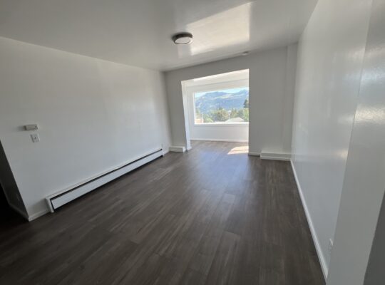Downtown WS 2bed Apt (RENT)