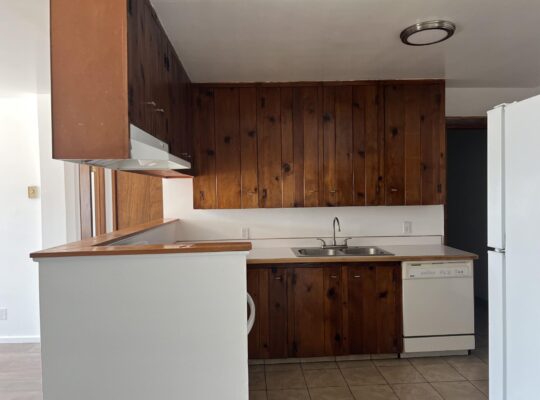 Downtown WS 2bed Apt (RENT)