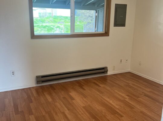 2 bed/1 bath apt for RENT (Murdock)