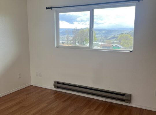 2 bed/1 bath apt for RENT (Murdock)