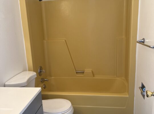 2 bed/1 bath apt for RENT (Murdock)