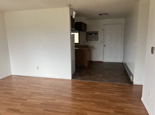 2 bed/1 bath apt for RENT (Murdock)
