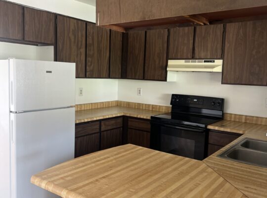 2 bed/1 bath apt for RENT (Murdock)