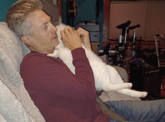 Super-loving Kitty needs a home!