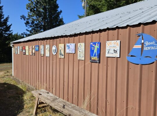 Handyman-Contractor available