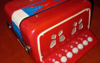 Nice little Mexican concertina/accordion. Excellen