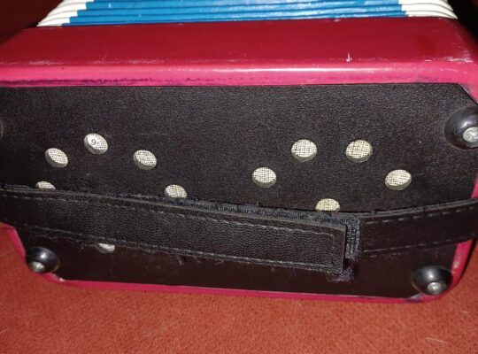 Nice little Mexican concertina/accordion. Excellen