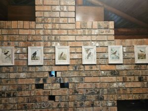 Handyman-Contractor available