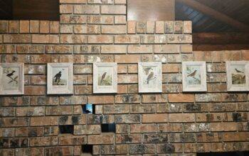 Handyman-Contractor available