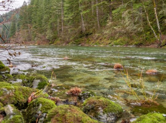 Fully Furnished 2BD/2BA w/ Hot Tub