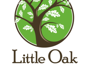 After School Program Coordinator 2026-27