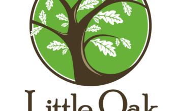 Montessori AMI Primary Lead Guide