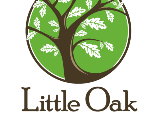 Montessori AMI Primary Lead Guide