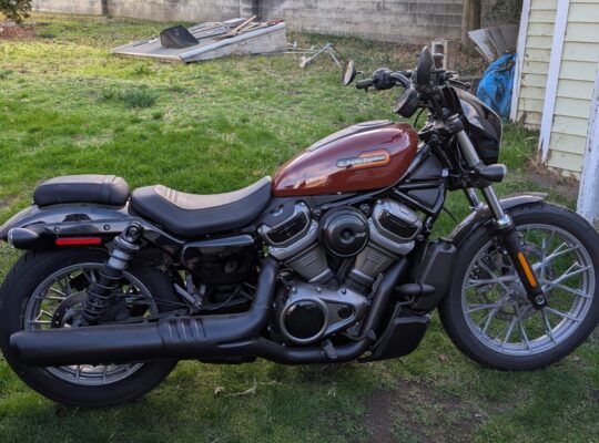 2024 Harley Davidson Nightster Special