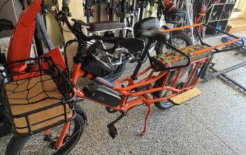 Radwagon Cargo e-bike