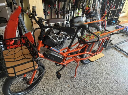 Radwagon Cargo e-bike